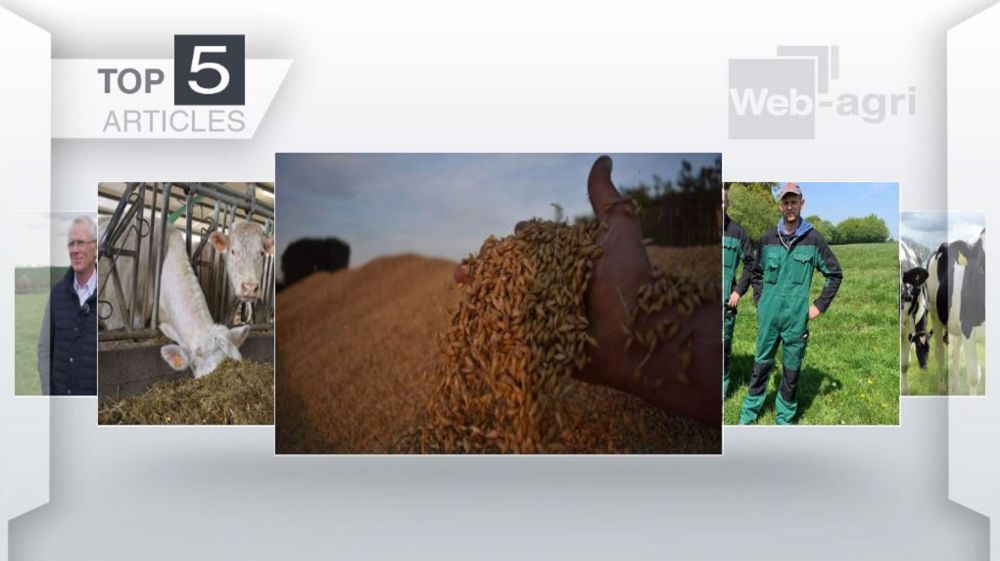  Articles que les lecteurs ont le plus appréciés sur Web-agri ces dix derniers jours. (©Terre-net Média)