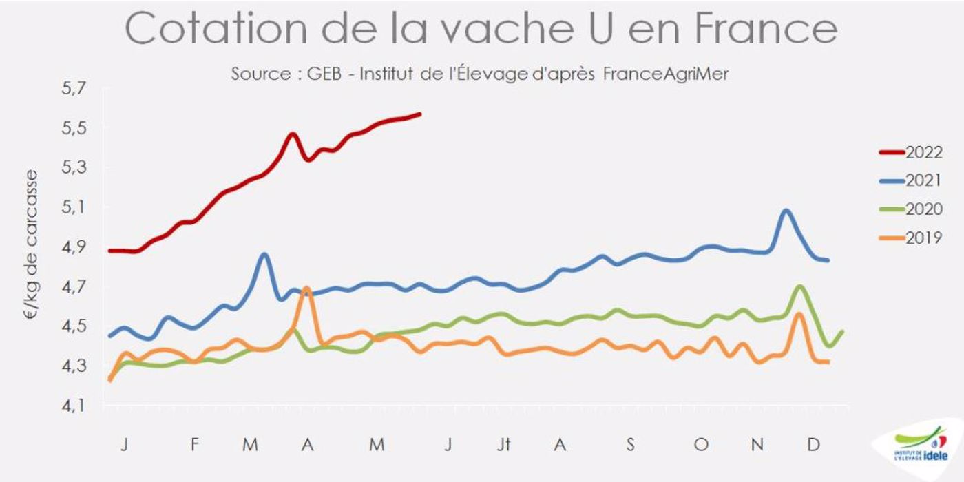 Ralentissement de la hausse des prix de la viande bovine en mai