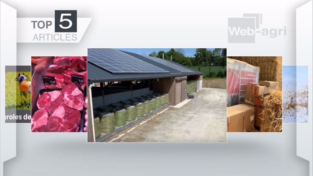 Articles les plus lus sur Web-agri cette semaine. (©Terre-net Média)