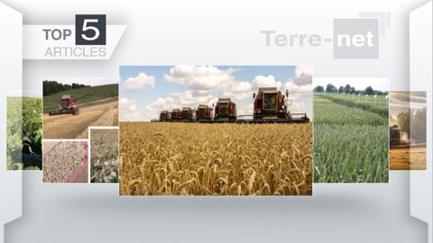Articles les plus lus sur Terre-net cette semaine. (©Terre-net Média)