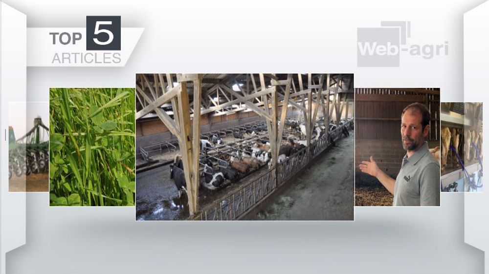 Articles les plus lus sur Web-agri cette semaine. (©Terre-net Média)
