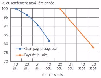 Rendement de luzerne en fonction de sa date de semis