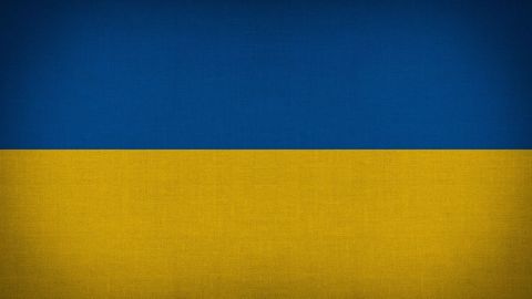 Le ministère ukrainien de l'agriculture évalue pour l'instant la récolte de grains à 50 Mt en 2022 (©Pixabay)