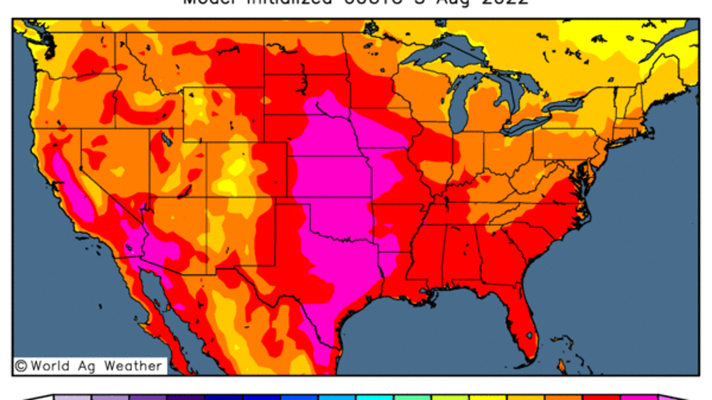 Les cultures US risquent de souffrir de la canicule sur une bonne partie du mois d'août. (©WorldAgWeather)