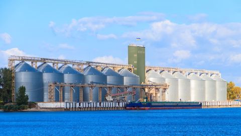 La gouvernement ukrainien estime actuellement à 16 Mt son déficit de stockage pour la campagne 2022/23 (©AdobeStock)