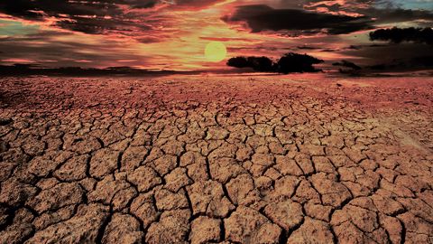 La réflexion sur le nouveau plan national d'adaptation au changement climatique sera lancée à la rentrée. (©Adobe Stock)