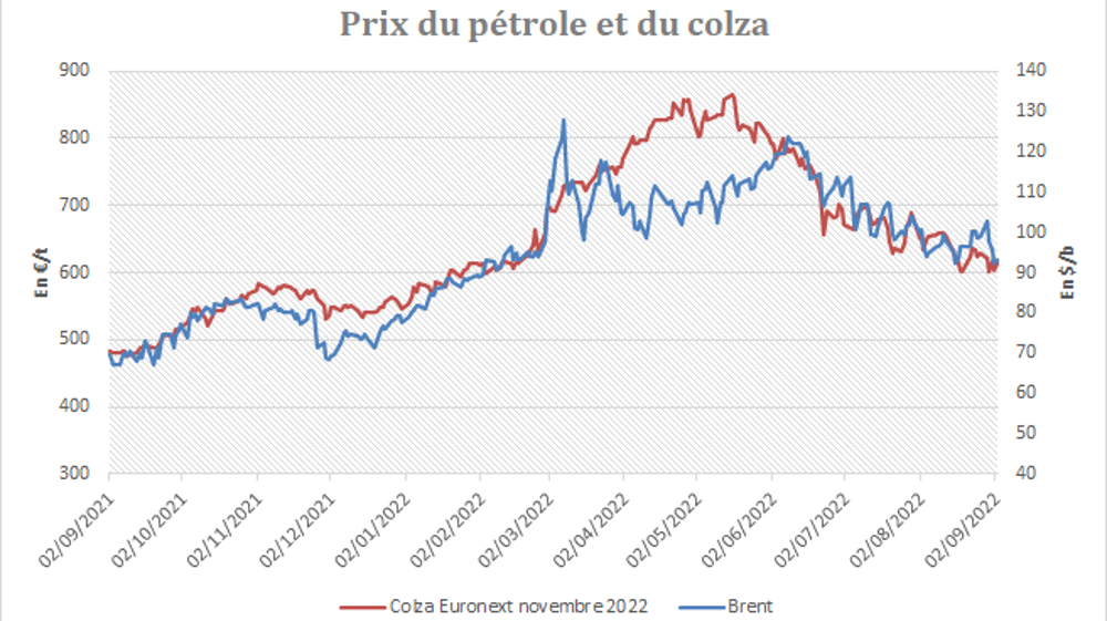 Les prix du colza sont directement influencés par les cours du brut. Les prix du colza sont directement influencés par les cours du brut.