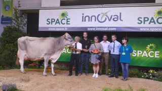 Hutile de la Saudraie élue grande championne du concours Brune Hutile de la Saudraie élue grande championne du concours Brune