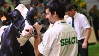 Retrouvez les palmarès et les replays des concours bovins du Space sur Web-agri. (©Space) Retrouvez les palmarès et les replays des concours bovins du Space sur Web-agri. (©Space)