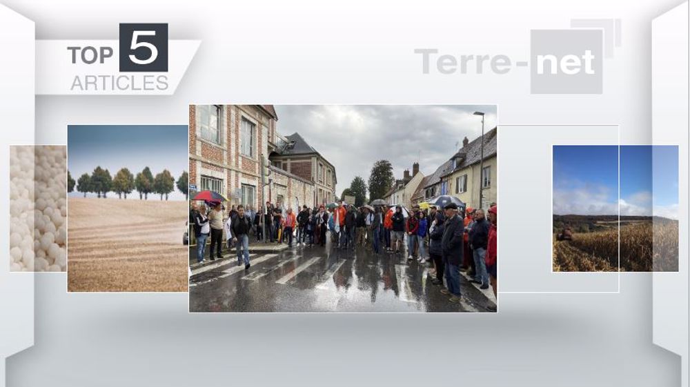 Articles les plus lus sur Terre-net cette semaine. (©Terre-net Média)