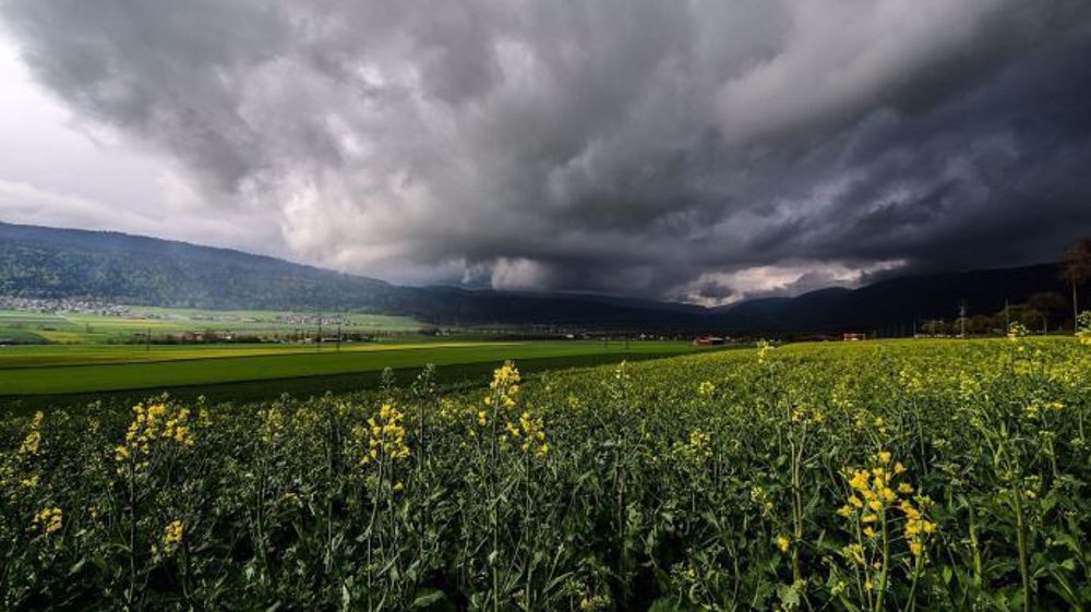 Seuls 30 % des producteurs de grandes cultures sont assurés avec une multirisque climatique. (©Pixabay)