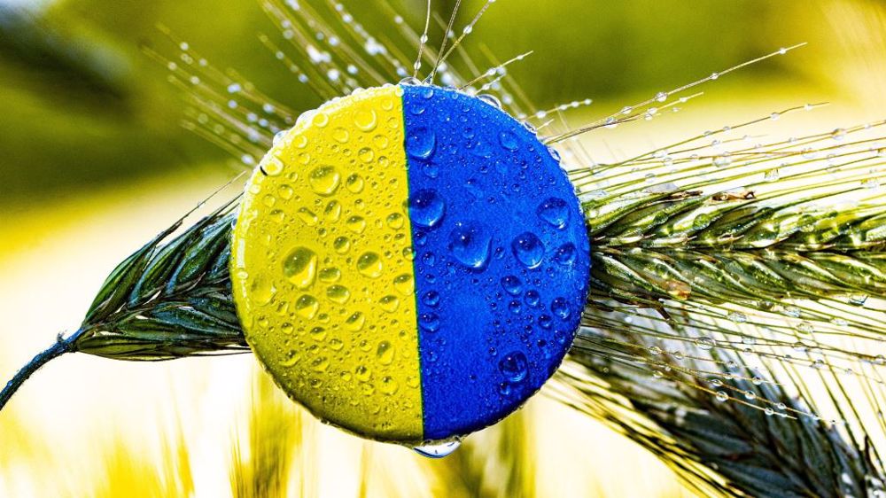 Après plus de six mois de guerre en Ukraine, le secteur agricole parvient-il à fonctionner ? (©Pixabay)