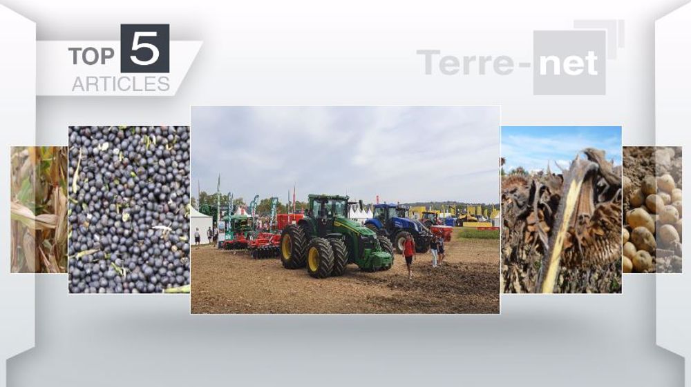 Articles les plus lus sur Terre-net cette semaine. (©Terre-net Média)