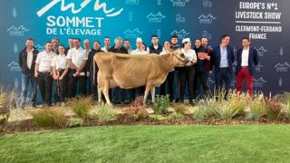 Lily Rose, nommée grande championne du concours Jersiaise Lily Rose, nommée grande championne du concours Jersiaise