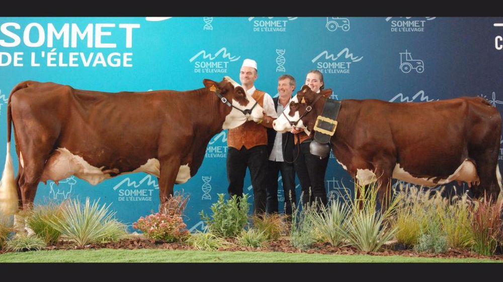 Lacune et Pivoine les championnes du concours Tarentaise