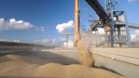 Les exportations françaises de céréales ont grimpé de 549 M€ en valeur entre juillet 2021 et 2022, et de 800 000 t en volume. (©AdobeStock)