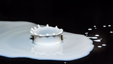 15 % des producteurs laitiers envisagent de faire plus de lait