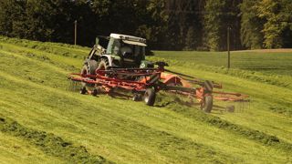 Pâturée ou récoltée, l'herbe est la principale source de protéine des vaches allaitantes. (©Pixabay) Pâturée ou récoltée, l'herbe est la principale source de protéine des vaches allaitantes. (©Pixabay)