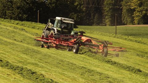 Pâturée ou récoltée, l'herbe est la principale source de protéine des vaches allaitantes. (©Pixabay) Pâturée ou récoltée, l'herbe est la principale source de protéine des vaches allaitantes. (©Pixabay)
