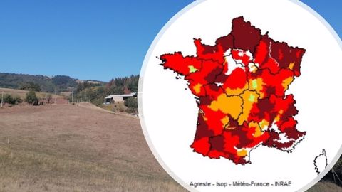 Un déficit d'herbe de 33 % par rapport à la normale Un déficit d'herbe de 33 % par rapport à la normale