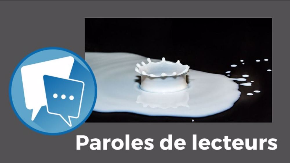 Quelle est votre stratégie pour la campagne laitière en cours ? Dites-le-nous en commentaires. (©Création Terre-net Média)