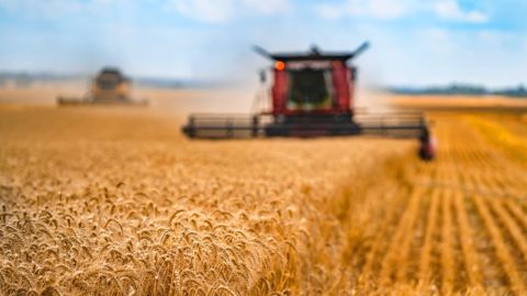 Entre les prix des engrais, de l'énergie et du matériel, la hausse des charges va pousser certains agriculteurs à réduire leurs objectifs de rendement de 2023 afin de stabiliser leur système économique. (©AdobeStock) Entre les prix des engrais, de l'énergie et du matériel, la hausse des charges va pousser certains agriculteurs à réduire leurs objectifs de rendement de 2023 afin de stabiliser leur système économique. (©AdobeStock)
