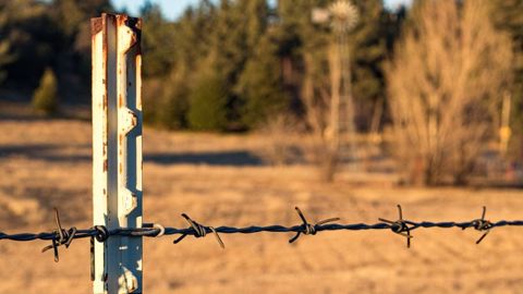 L'amendement prévoit d'exclure de réduction d'impôt les dons aux associations dont « les adhérents sont reconnus coupables d'actes d'intrusion sur les propriétés privées agricoles et établissements industriels ». (©Adobe Stock) L'amendement prévoit d'exclure de réduction d'impôt les dons aux associations dont « les adhérents sont reconnus coupables d'actes d'intrusion sur les propriétés privées agricoles et établissements industriels ». (©Adobe Stock)