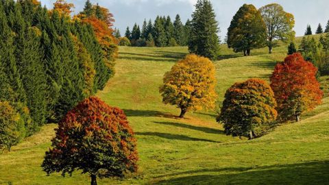 Septembre 2022 a été proche des valeurs habituelles bien qu'un peu plus doux et humide. (©Pixabay)