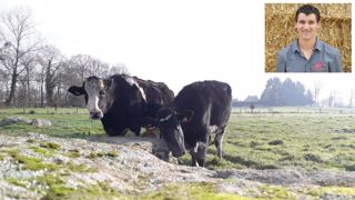 Trois conseils de Cyrille Herbert, jeune éleveur (35), pour s'installer en lait Trois conseils de Cyrille Herbert, jeune éleveur (35), pour s'installer en lait