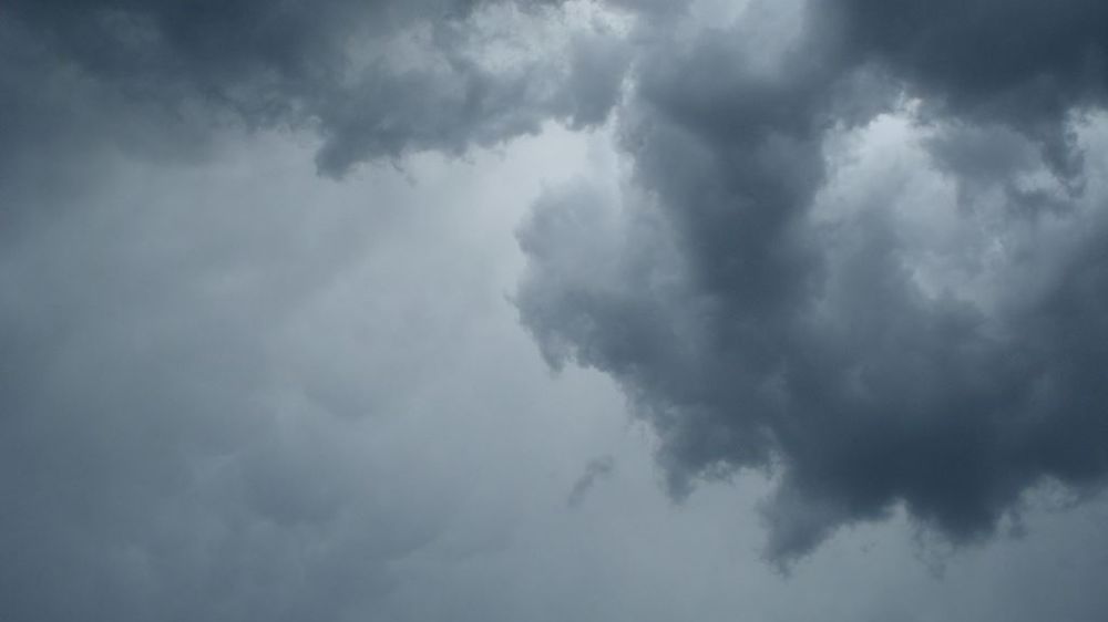 Les conditions météo et le manque de moyens des agriculteurs ukrainiens contrarient la campagne de semis d'automne. (©Pixabay)