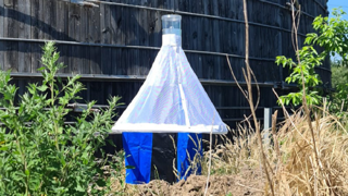 Stomoxycc est un piège à mouches piqueuses écologique et robuste. (©Abiotec) Stomoxycc est un piège à mouches piqueuses écologique et robuste. (©Abiotec)