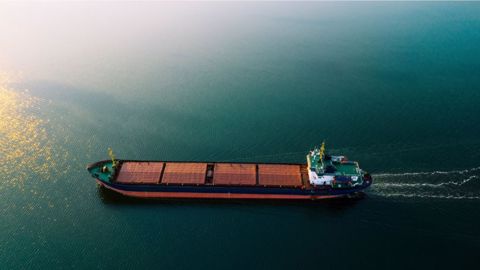L’UE a exporté 1,9 Mt de blé vers le Moyen-Orient et l'Afrique du nord en juillet, soit 300 % de plus que l'an dernier ! (©AdobeStock) L’UE a exporté 1,9 Mt de blé vers le Moyen-Orient et l'Afrique du nord en juillet, soit 300 % de plus que l'an dernier ! (©AdobeStock)