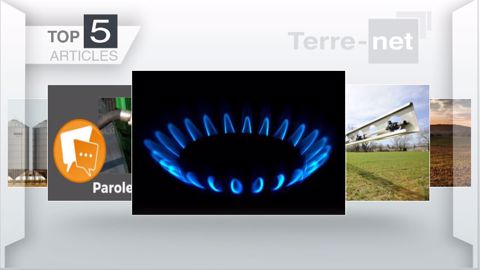 Articles les plus lus sur Terre-net cette semaine. (©Terre-net Média)