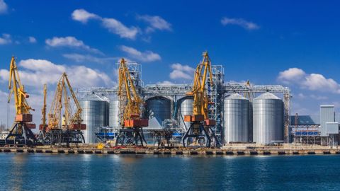 Douze navires chargés de grains et autres produits agricoles ont quitté la région d'Odessa lundi 31 octobre (©AdobeStock)