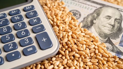 À la clôture de Chicago, mardi 1er novembre, le blé SRW à échéance décembre 2022 a grimpé de 20,25 c$/bu (7,8 €/t), à 9,03 $/bu (339 €/t) (©AdobeStock)