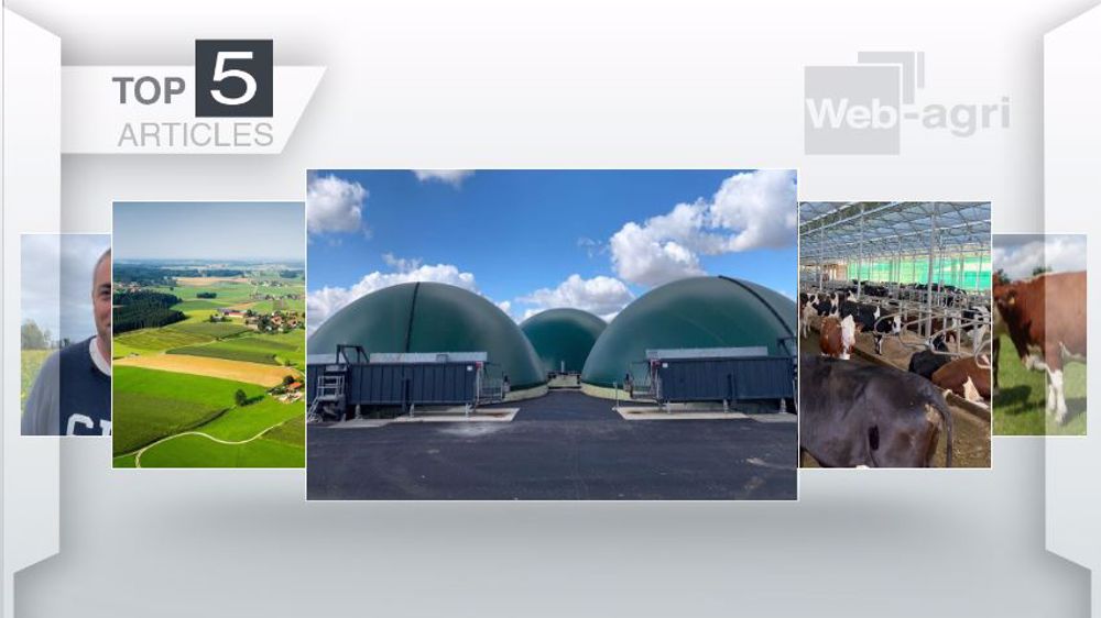 Articles les plus lus sur Web-agri cette semaine. (©Terre-net Média)