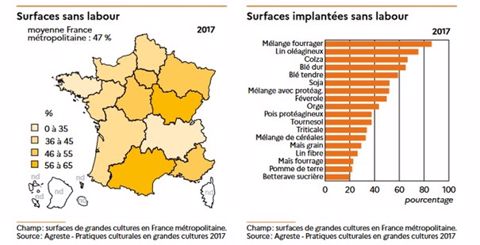Surfaces sans labour en France.