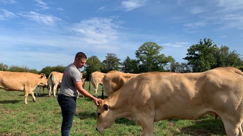 mathieu crouin et ses vaches parthenaises