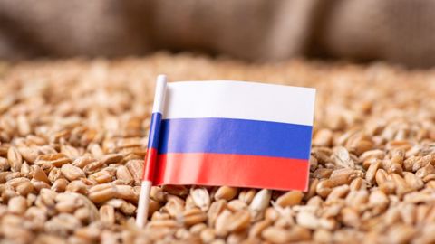 Pour 2022/23, la production russe de blé tendre serait en hausse de 20,4 Mt par rapport à 2021/22, soit de 22 % (©AdobeStock)