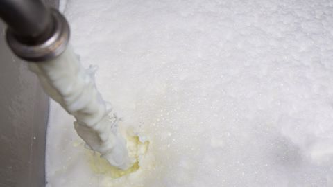Les quatre acteurs français du lait concernés par cette enquête de l'Autorité de la concurrence sont Sodiaal, Savencia, Eurial et Lactalis. (©Terre-net Média)