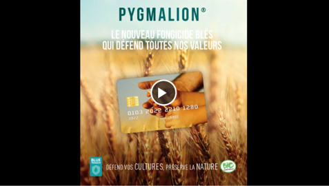 Vidéo PYGMALION