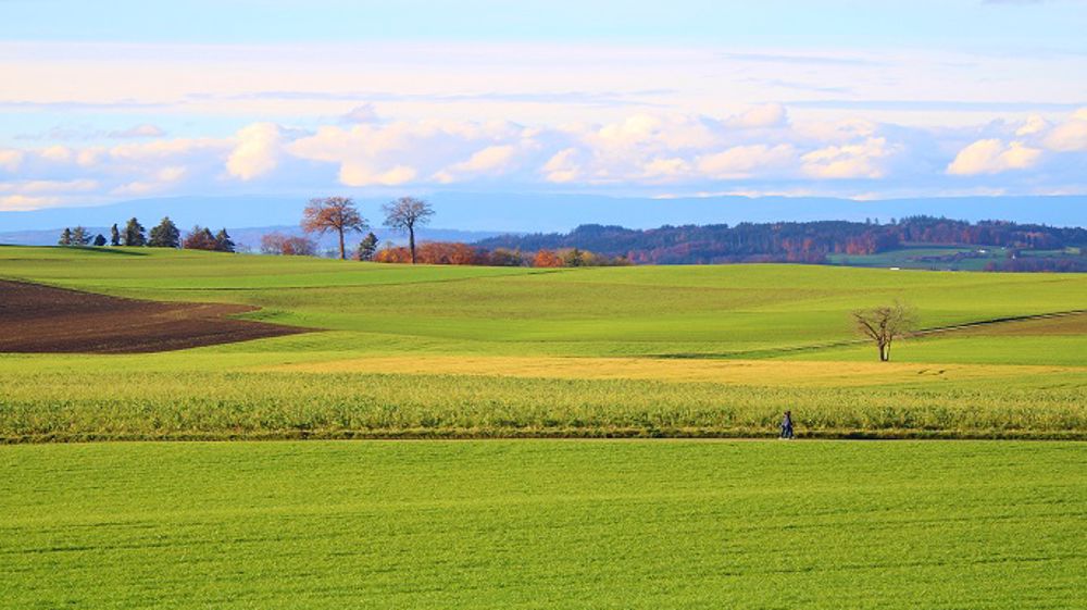 Les conditions météo en France restent favorables malgré la baisse des températures. (©Pixabay)