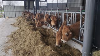 Le 3 décembre, Cédric @agri15 a inauguré sa nouvelle stabulation, une aire paillée ouverte en long pan. (©Cédric @agri15) Le 3 décembre, Cédric @agri15 a inauguré sa nouvelle stabulation, une aire paillée ouverte en long pan. (©Cédric @agri15)