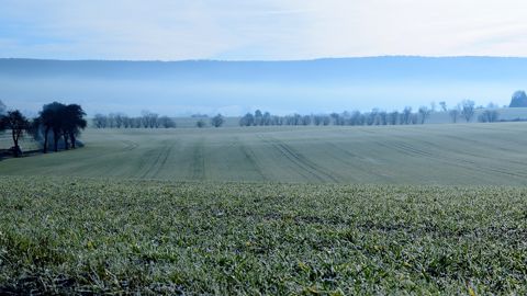 C'est le dernier écho des plaines de l'année 2022. Les BSV vont, en effet, entrer en pause hivernale ensuite. Rendez-vous alors à la sortie de l'hiver ! (©Pixabay) C'est le dernier écho des plaines de l'année 2022. Les BSV vont, en effet, entrer en pause hivernale ensuite. Rendez-vous alors à la sortie de l'hiver ! (©Pixabay)