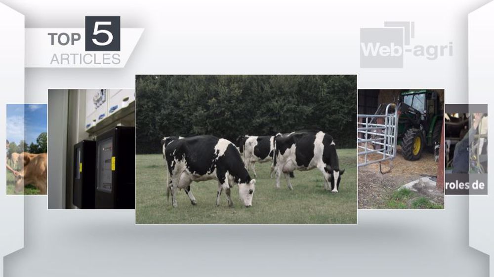 Articles les plus lus sur Web-agri cette semaine. (©Terre-net Média)