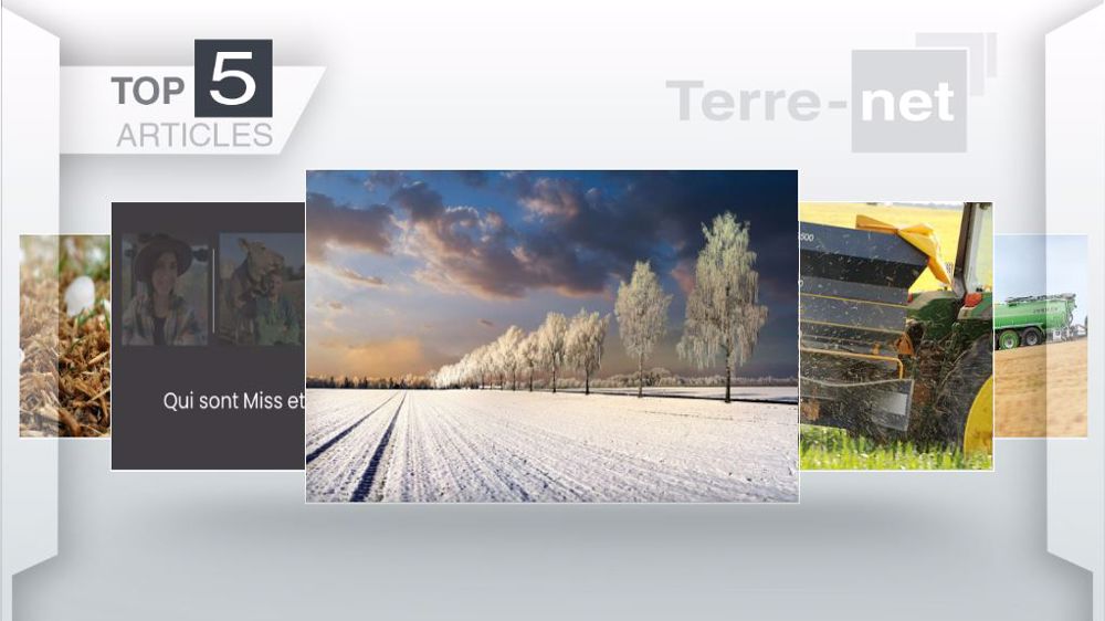 Articles les plus lus sur Terre-net cette quinzaine. (©Terre-net Média)