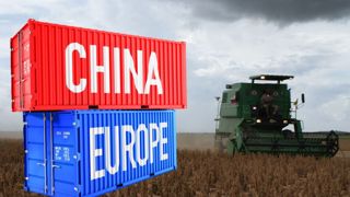 Les flux d'exportation de soja ont quadruplé en vingt ans (en monnaie courante), principalement sous la pression de la demande chinoise. (© Pixabay) Les flux d'exportation de soja ont quadruplé en vingt ans (en monnaie courante), principalement sous la pression de la demande chinoise. (© Pixabay)