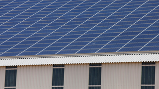 Si vous avez de la toiture disponible et souhaitez réduire votre facture d'électricité produite sur la ferme, pensez aux panneaux solaires (plus avantageux qu'un trackeur). (©Adobe stock) Si vous avez de la toiture disponible et souhaitez réduire votre facture d'électricité produite sur la ferme, pensez aux panneaux solaires (plus avantageux qu'un trackeur). (©Adobe stock)