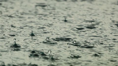 Des pluies abondantes sont attendues jusqu'à mi-janvier. (©Pixabay) Des pluies abondantes sont attendues jusqu'à mi-janvier. (©Pixabay)
