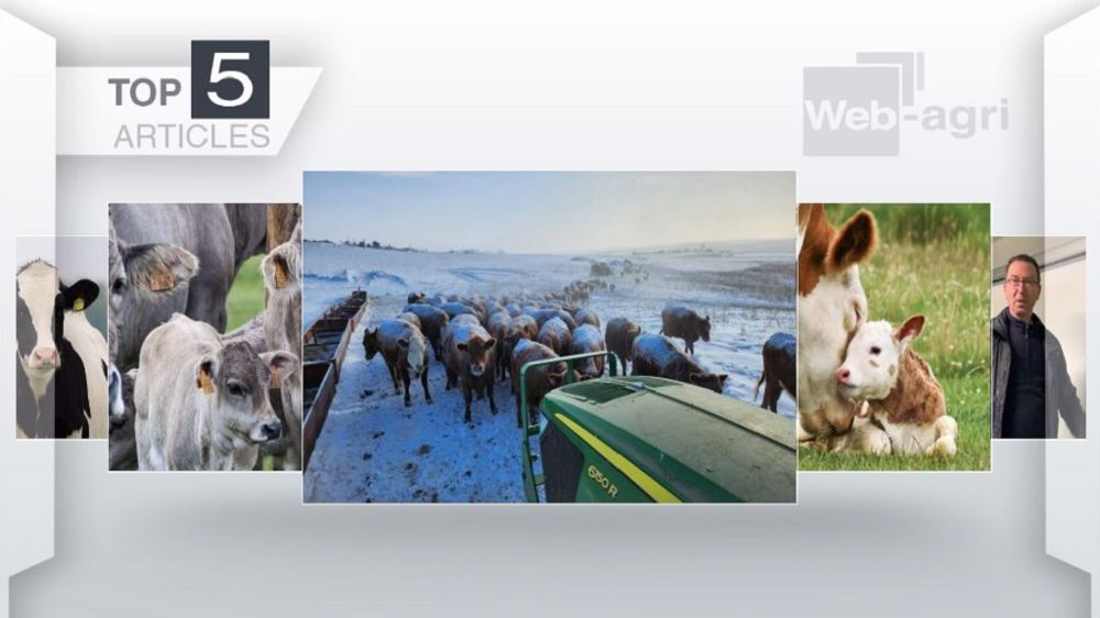 Articles les plus lus sur Web-agri fin 2022 - début 2023. (©Terre-net Média)